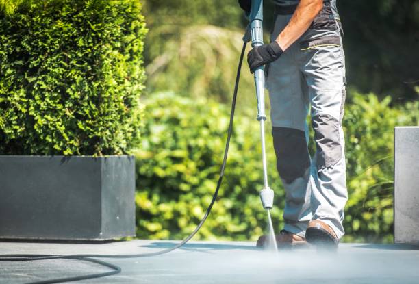 Best Soft Washing  in Druid Hills, GA